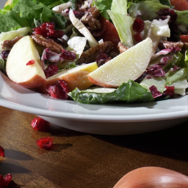 Romaine and Radicchio Salad with Apples and Dried Cranberries recipe