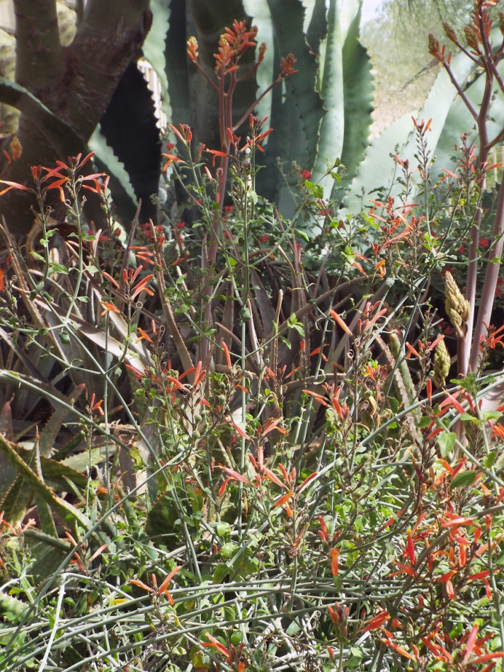 Outdoor Living & Entertaining Ideas